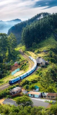 pexels-senuscape-728360-1658967-min